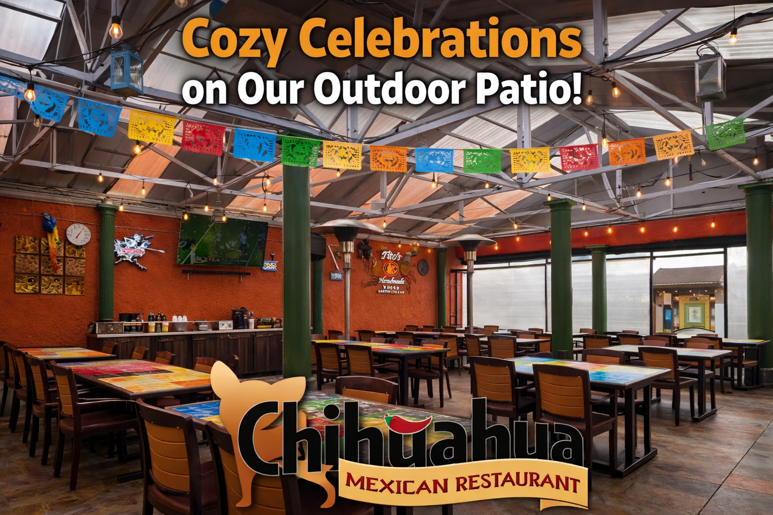 Chihuahuas Outdoor Patio